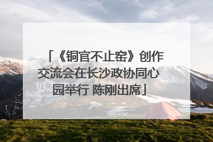 《铜官不止窑》创作交流会在长沙政协同心园举行 陈刚出席