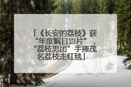 《长安的荔枝》获“年度瞩目影片”，“荔枝男团”手捧茂名荔枝走红毯