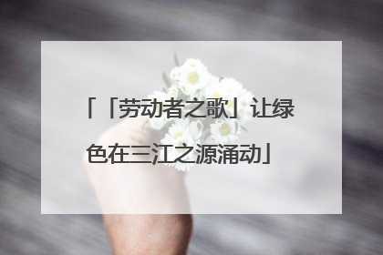 「劳动者之歌」让绿色在三江之源涌动