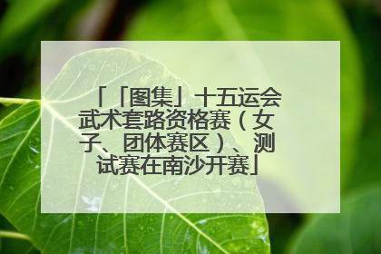 「图集」十五运会武术套路资格赛（女子、团体赛区）、测试赛在南沙开赛