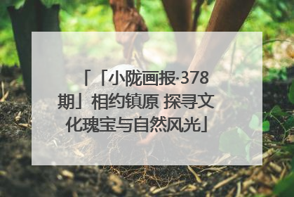 「小陇画报·378期」相约镇原 探寻文化瑰宝与自然风光