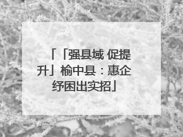 「强县域 促提升」榆中县：惠企纾困出实招