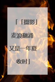 「摄影」麦浪翻涌 又是一年夏收时