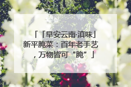 「早安云南·滇味」新平腌菜：百年老手艺，万物皆可“腌”