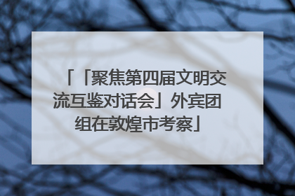 「聚焦第四届文明交流互鉴对话会」外宾团组在敦煌市考察