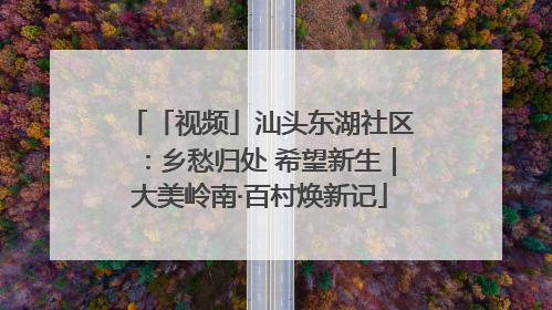「视频」汕头东湖社区：乡愁归处 希望新生｜大美岭南·百村焕新记