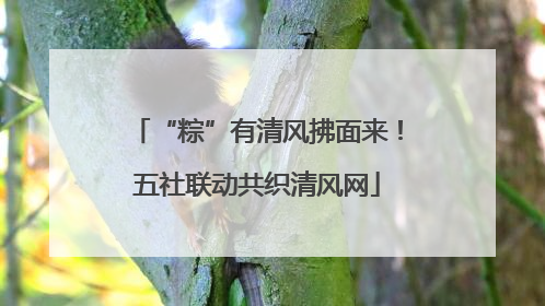 “粽”有清风拂面来！五社联动共织清风网