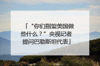 “你们指望美国做些什么？”央视记者提问巴勒斯坦代表