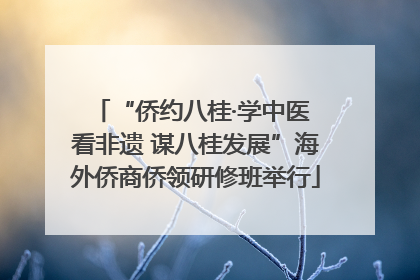 “侨约八桂·学中医 看非遗 谋八桂发展”海外侨商侨领研修班举行