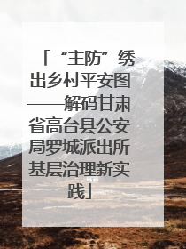 “主防”绣出乡村平安图——解码甘肃省高台县公安局罗城派出所基层治理新实践