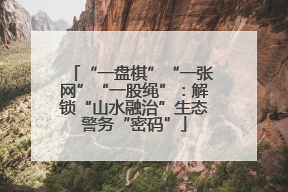 “一盘棋”“一张网”“一股绳”：解锁“山水融治”生态警务“密码”