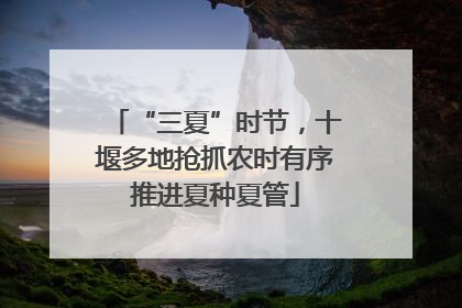 “三夏”时节，十堰多地抢抓农时有序推进夏种夏管
