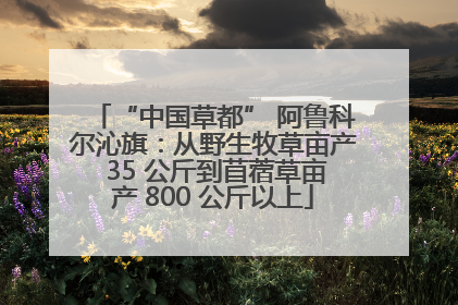 “中国草都” 阿鲁科尔沁旗：从野生牧草亩产 35 公斤到苜蓿草亩产 800 公斤以上
