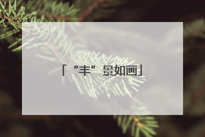 “丰”景如画