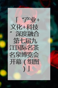 “产业+文化+科技”深度融合 第七届九江国际名茶名泉博览会开幕（组图）