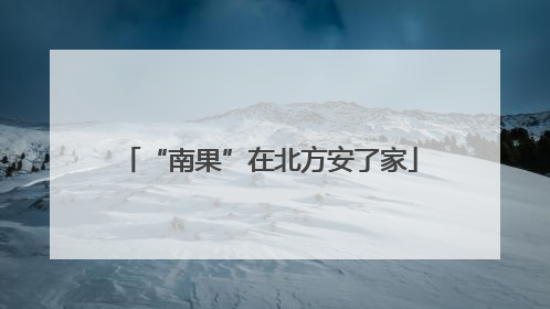 “南果”在北方安了家