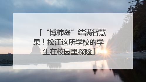 “博柿岛”结满智慧果！松江这所学校的学生在校园里探险