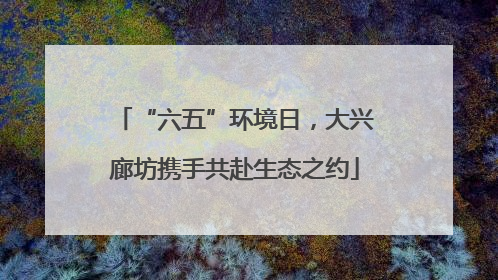 “六五”环境日，大兴廊坊携手共赴生态之约