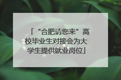“合肥请您来”高校毕业生对接会为大学生提供就业岗位