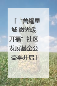 “善耀星城·微光暖开福”社区发展基金公益季开启