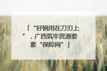 “好钢用在刀刃上”，广西筑牢资源要素“保障网”