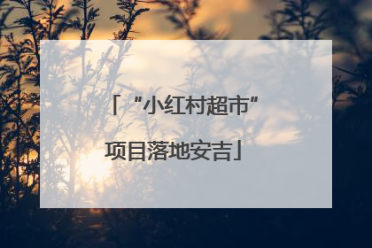 “小红村超市”项目落地安吉