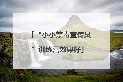 “小小禁毒宣传员”训练营效果好