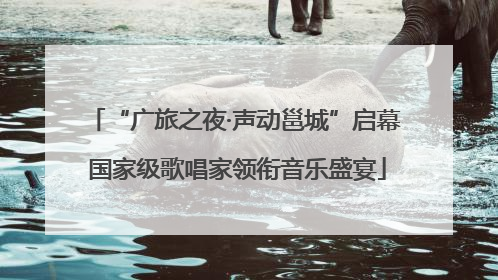 “广旅之夜·声动邕城”启幕 国家级歌唱家领衔音乐盛宴
