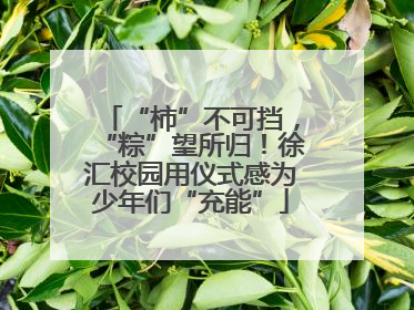 “柿”不可挡，“粽”望所归！徐汇校园用仪式感为少年们“充能”