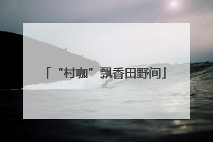 “村咖”飘香田野间