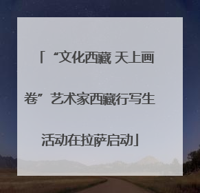 “文化西藏 天上画卷”艺术家西藏行写生活动在拉萨启动