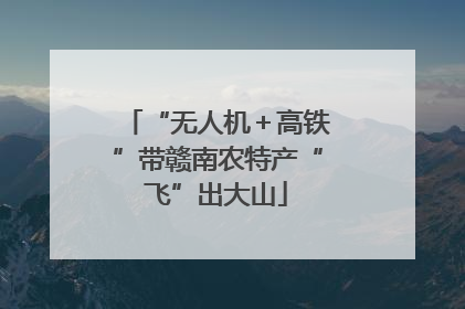 “无人机＋高铁”带赣南农特产“飞”出大山