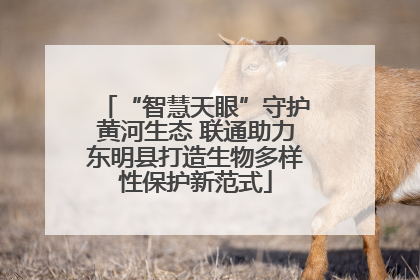 “智慧天眼”守护黄河生态 联通助力东明县打造生物多样性保护新范式