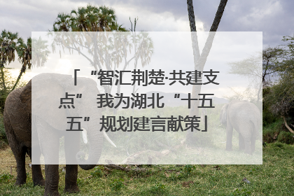 “智汇荆楚·共建支点” 我为湖北“十五五”规划建言献策