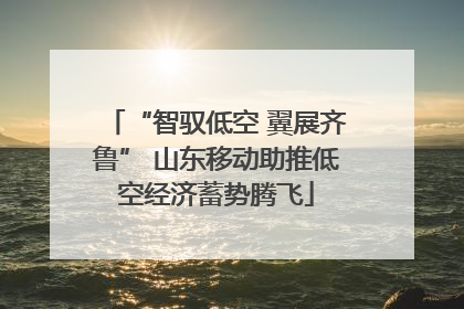 “智驭低空 翼展齐鲁” 山东移动助推低空经济蓄势腾飞