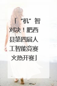 “机”智对决！肥西县第四届人工智能竞赛火热开赛