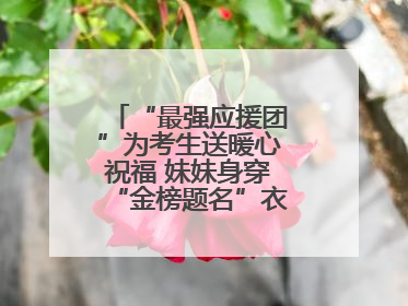 “最强应援团”为考生送暖心祝福 妹妹身穿“金榜题名”衣服为哥哥加油
