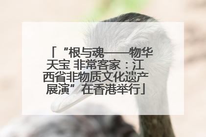 “根与魂——物华天宝 非常客家：江西省非物质文化遗产展演”在香港举行
