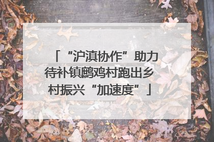 “沪滇协作”助力待补镇鹧鸡村跑出乡村振兴“加速度”