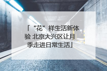 “花”样生活新体验 北京大兴区让月季走进日常生活