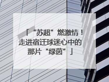“苏超”燃激情！走进宿迁球迷心中的那片“绿茵”