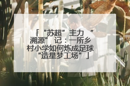 “苏超”主力 “溯源” 记：一所乡村小学如何炼成足球 “造星梦工场”