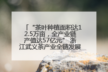 “茶叶种植面积达12.5万亩，全产业链产值达57亿元” 浙江武义茶产业全链发展“加速度”