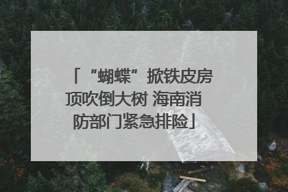 “蝴蝶”掀铁皮房顶吹倒大树 海南消防部门紧急排险