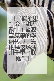 “酸苹果”变“甜酒酿”！盐源高原果的华丽转身，靠的是这场浙川千里“联姻”
