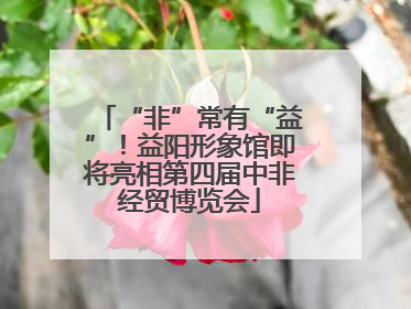 “非”常有“益”！益阳形象馆即将亮相第四届中非经贸博览会