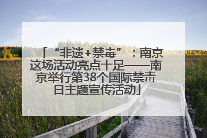 “非遗+禁毒”：南京这场活动亮点十足——南京举行第38个国际禁毒日主题宣传活动