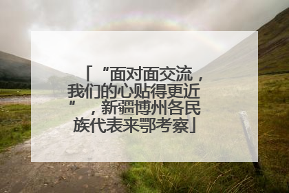 “面对面交流，我们的心贴得更近”，新疆博州各民族代表来鄂考察