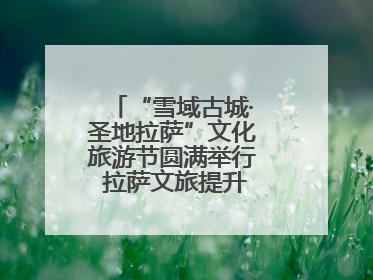 “雪域古城·圣地拉萨”文化旅游节圆满举行 拉萨文旅提升项目惊艳亮相