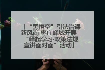 “黑悟空”引法治课新风尚 枣庄峄城开展“峄起学习·政策法规宣讲面对面”活动